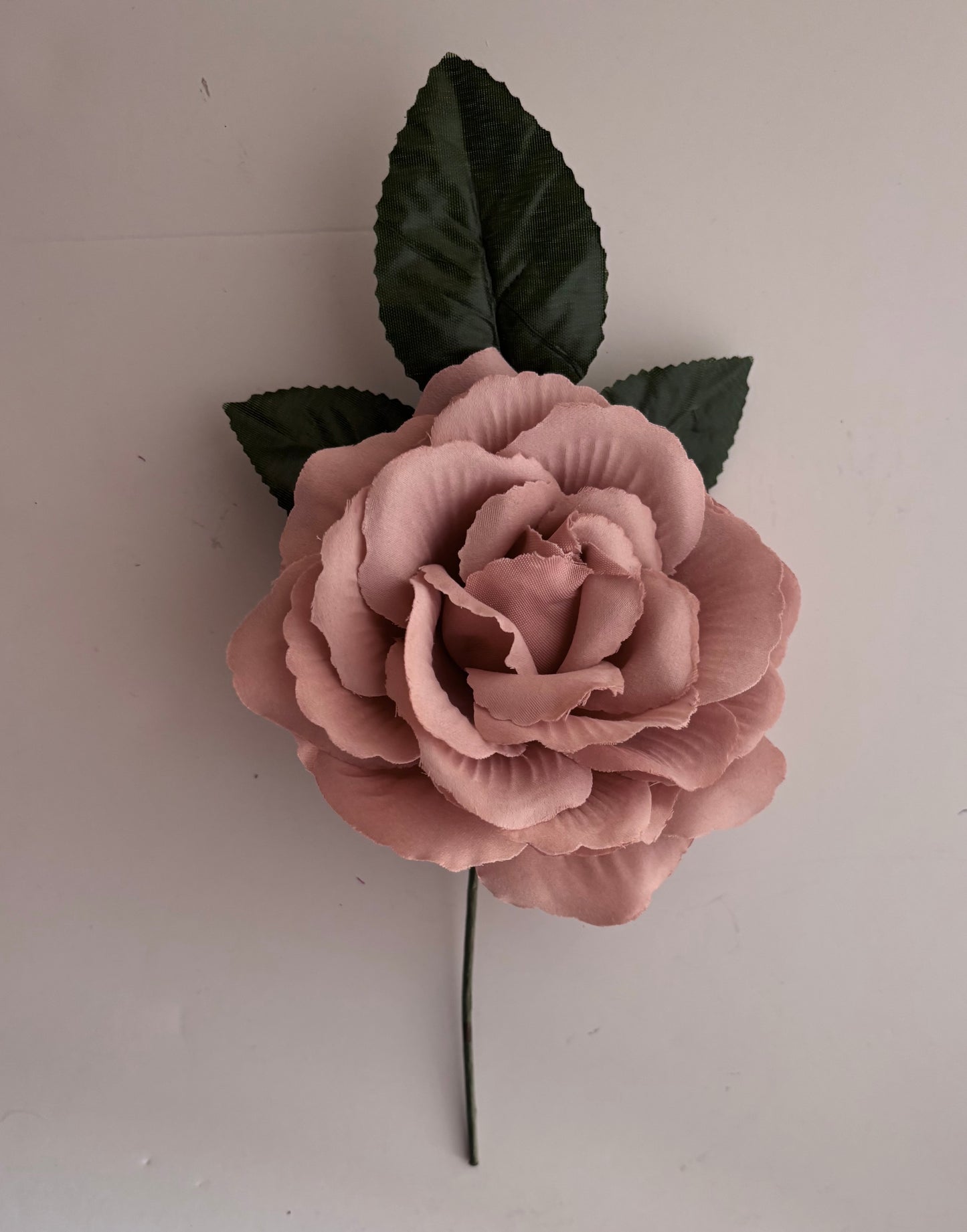 Rosa Grande 007