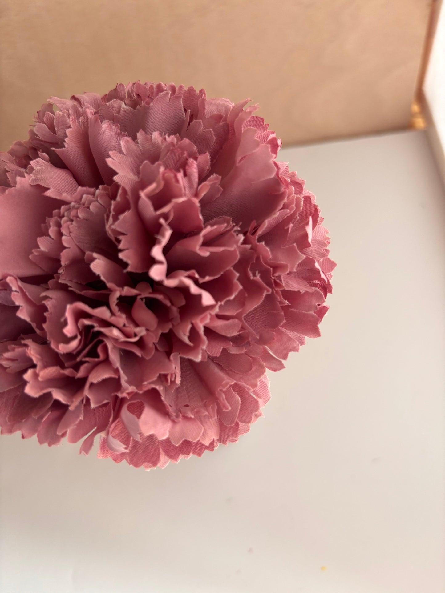 Clavel Grande 006