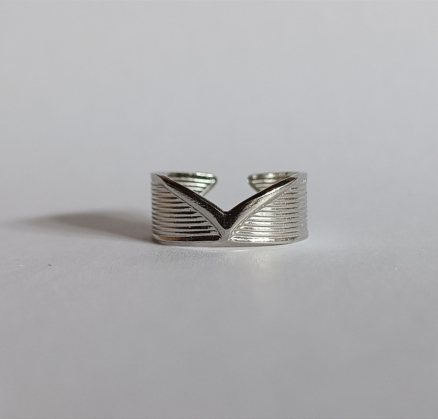 Anillo Venedit Plateado