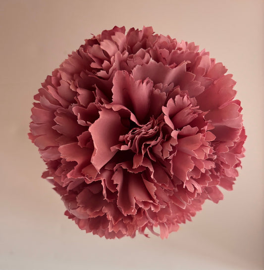 Clavel Pequeño 003