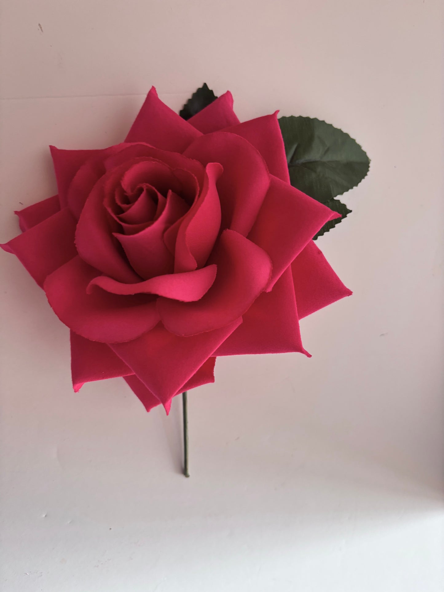 Rosa Grande 005