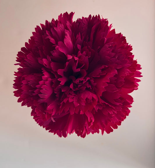 Clavel Grande 003