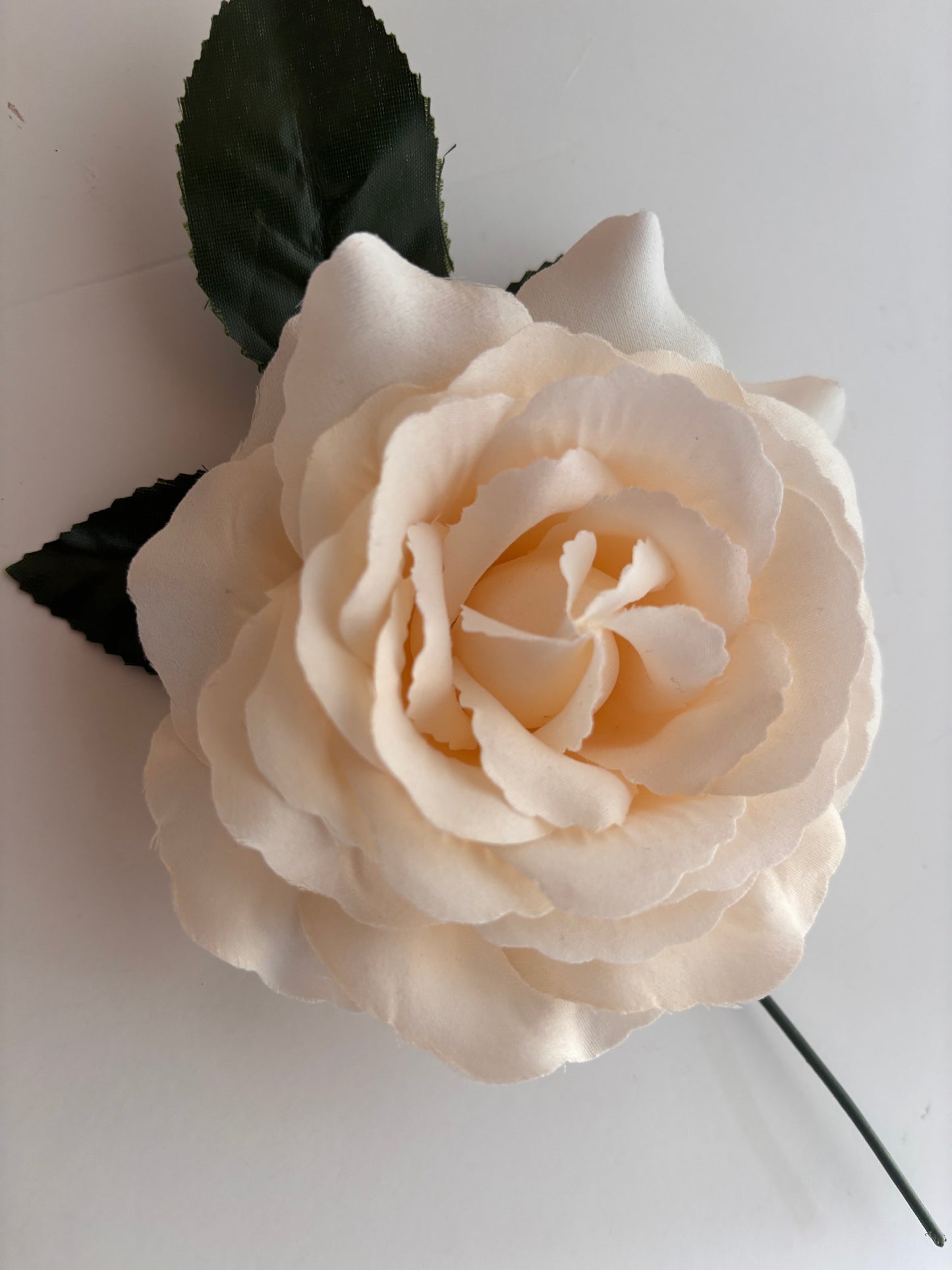 Rosa Grande 006