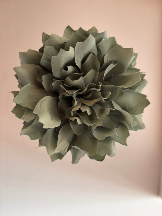 Dalia 002