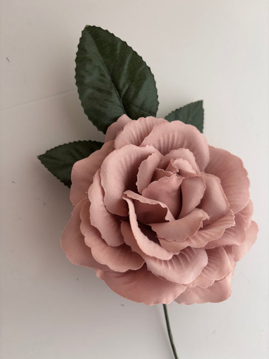Rosa Grande 007
