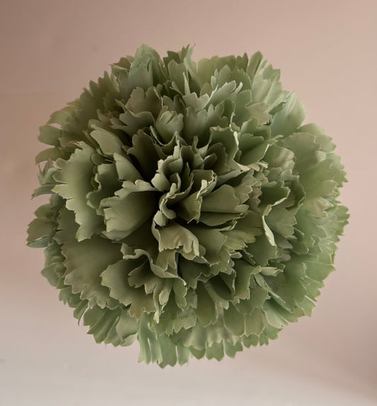 Clavel Grande 004