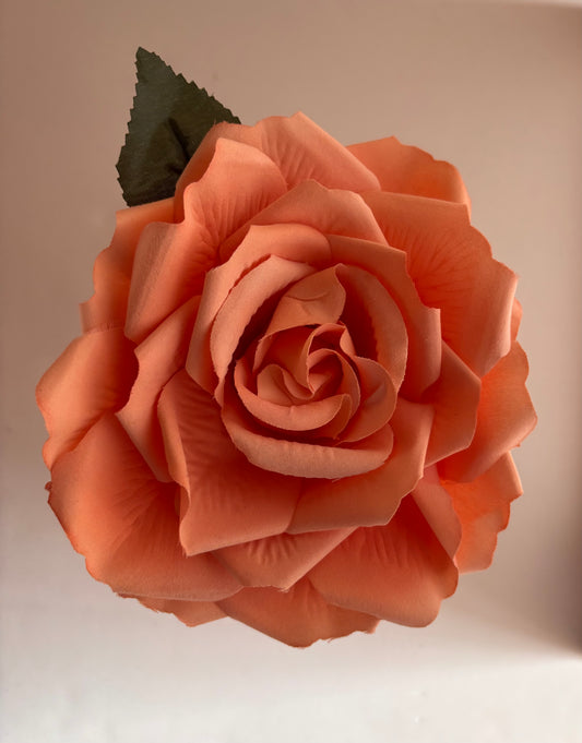 Rosa Grande 003
