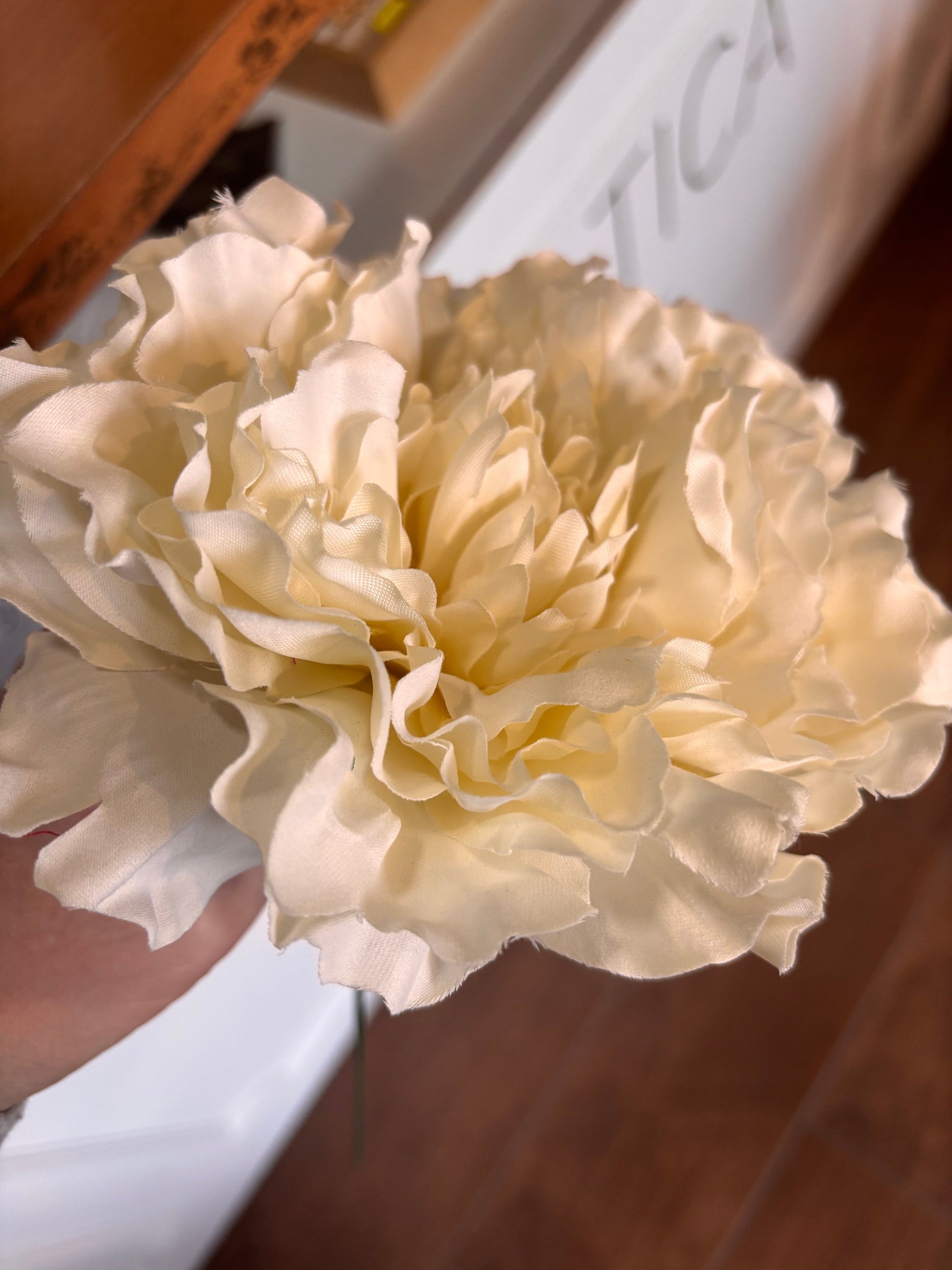 Peonia Grande 011