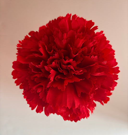 Clavel Grande 001