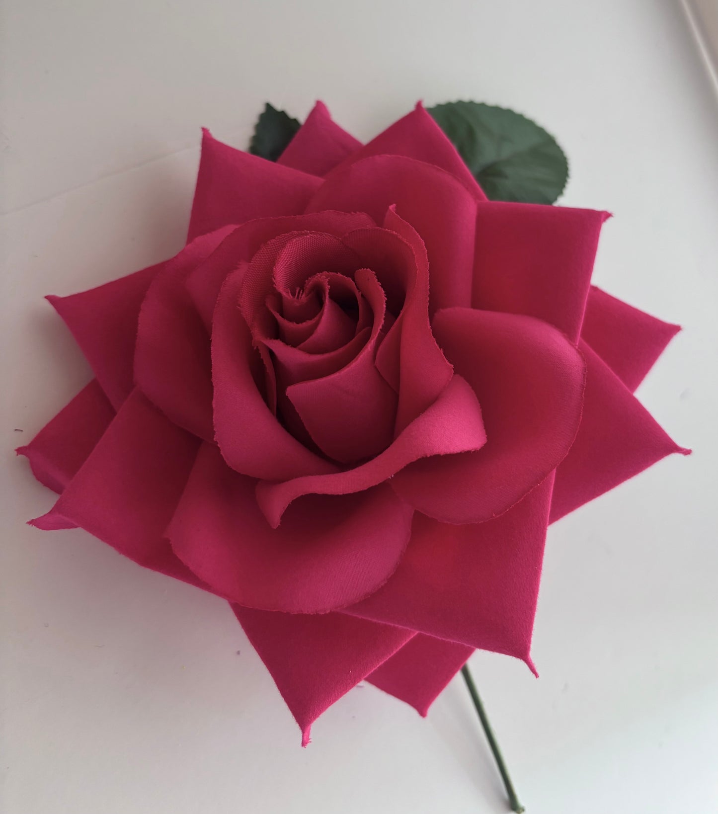 Rosa Grande 005