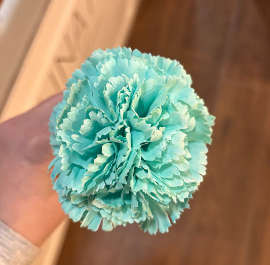 Clavel Pequeño 012