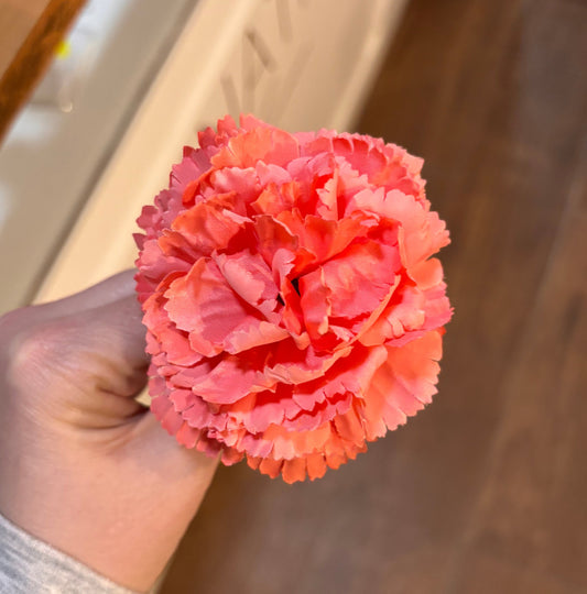 Clavel Pequeño 009