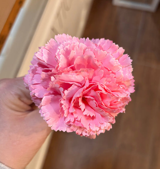 Clavel Pequeño 006