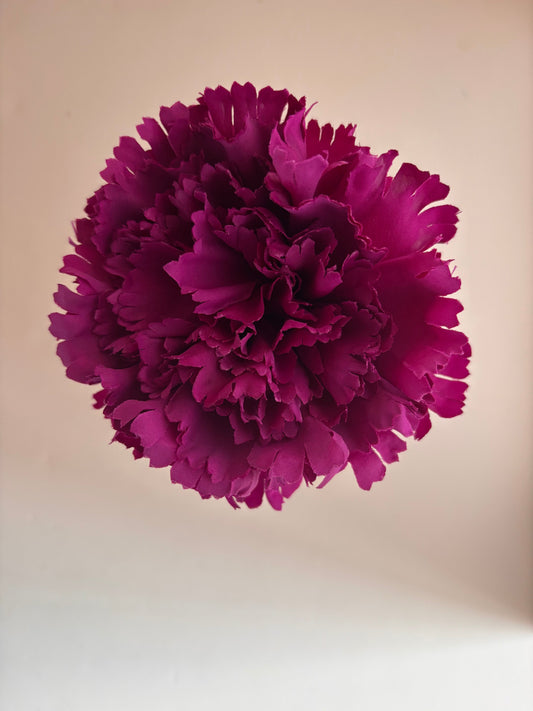 Clavel Pequeño 002