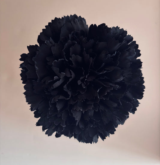 Clavel Pequeño 005