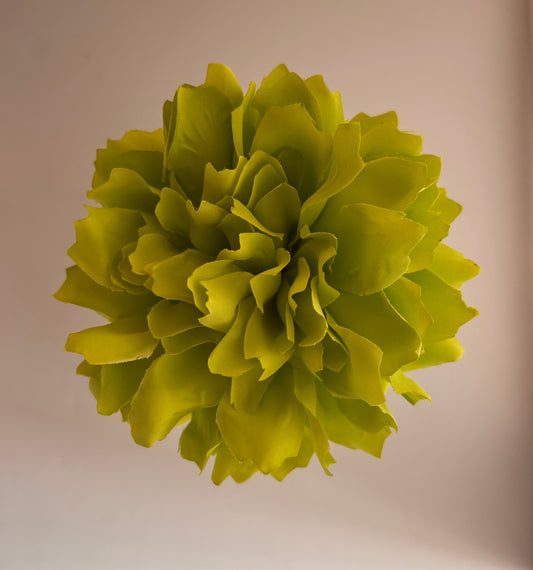 Dalia 004