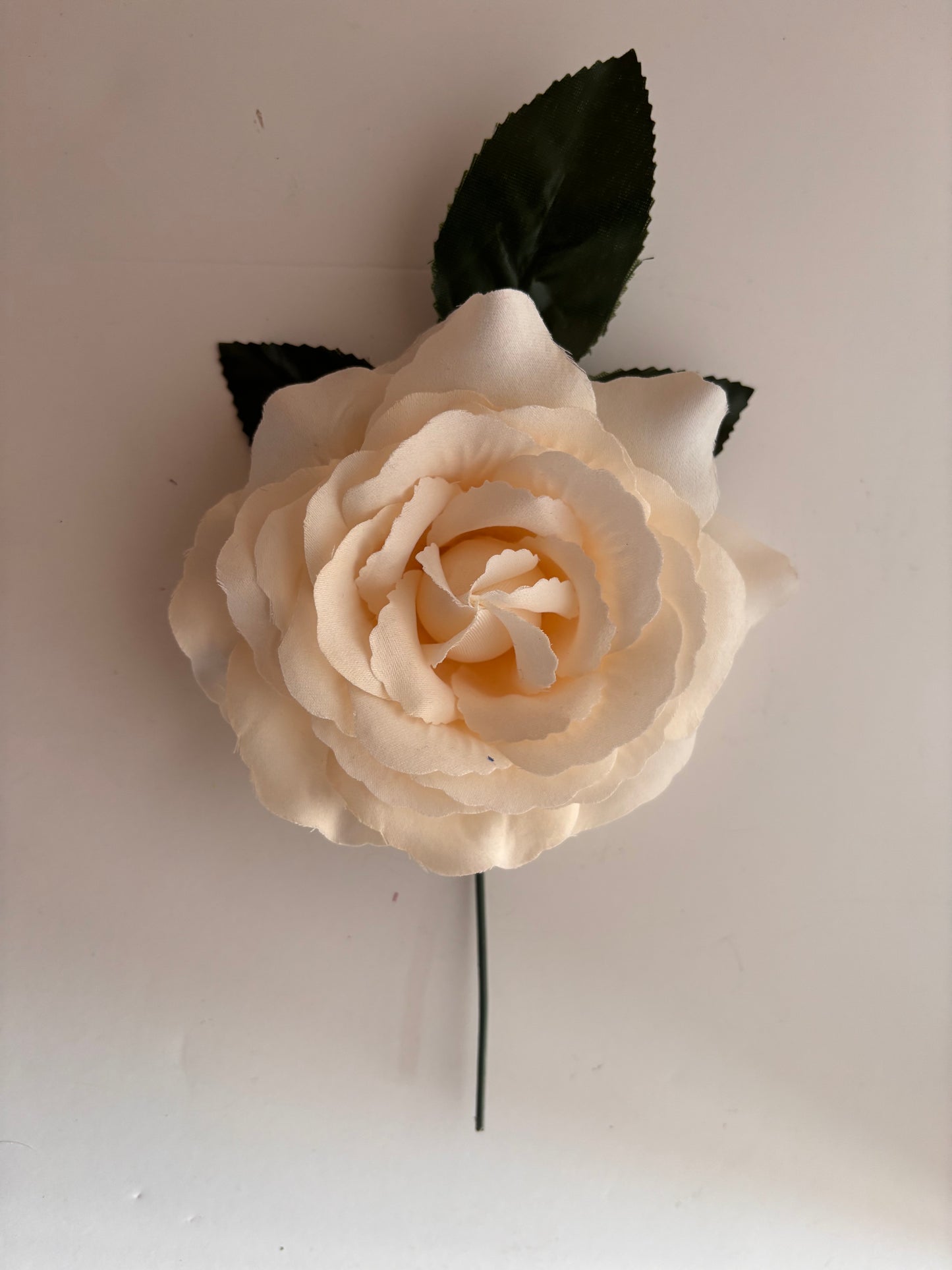 Rosa Grande 006