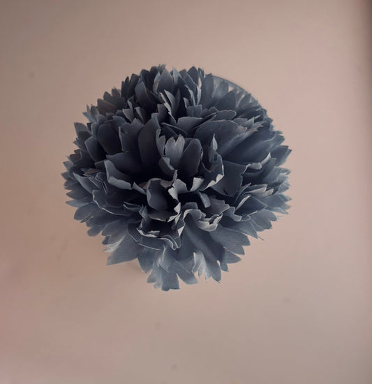 Clavel Pequeño 001