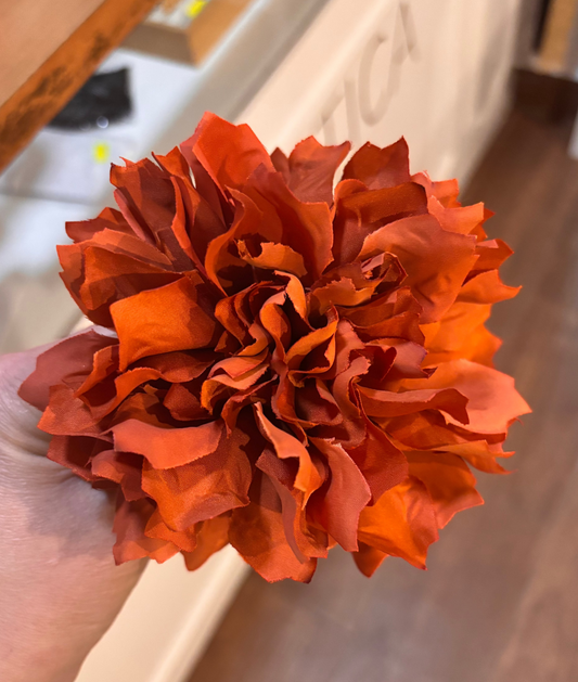 Dalia 007