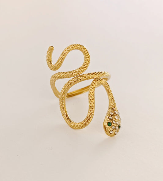 Anillo Snake