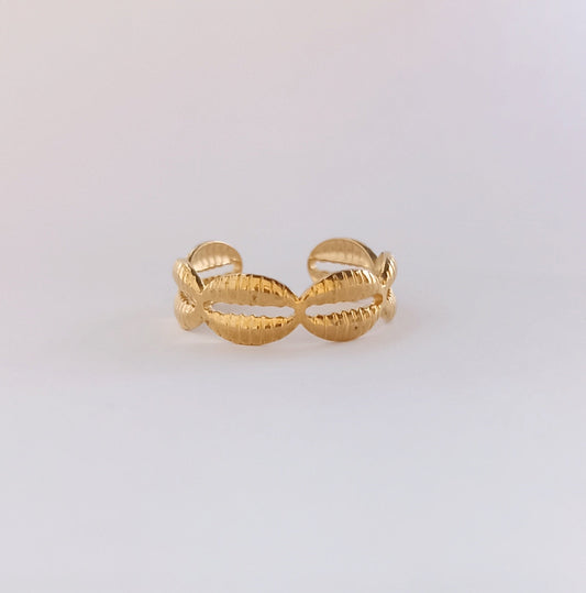 Anillo Delmar