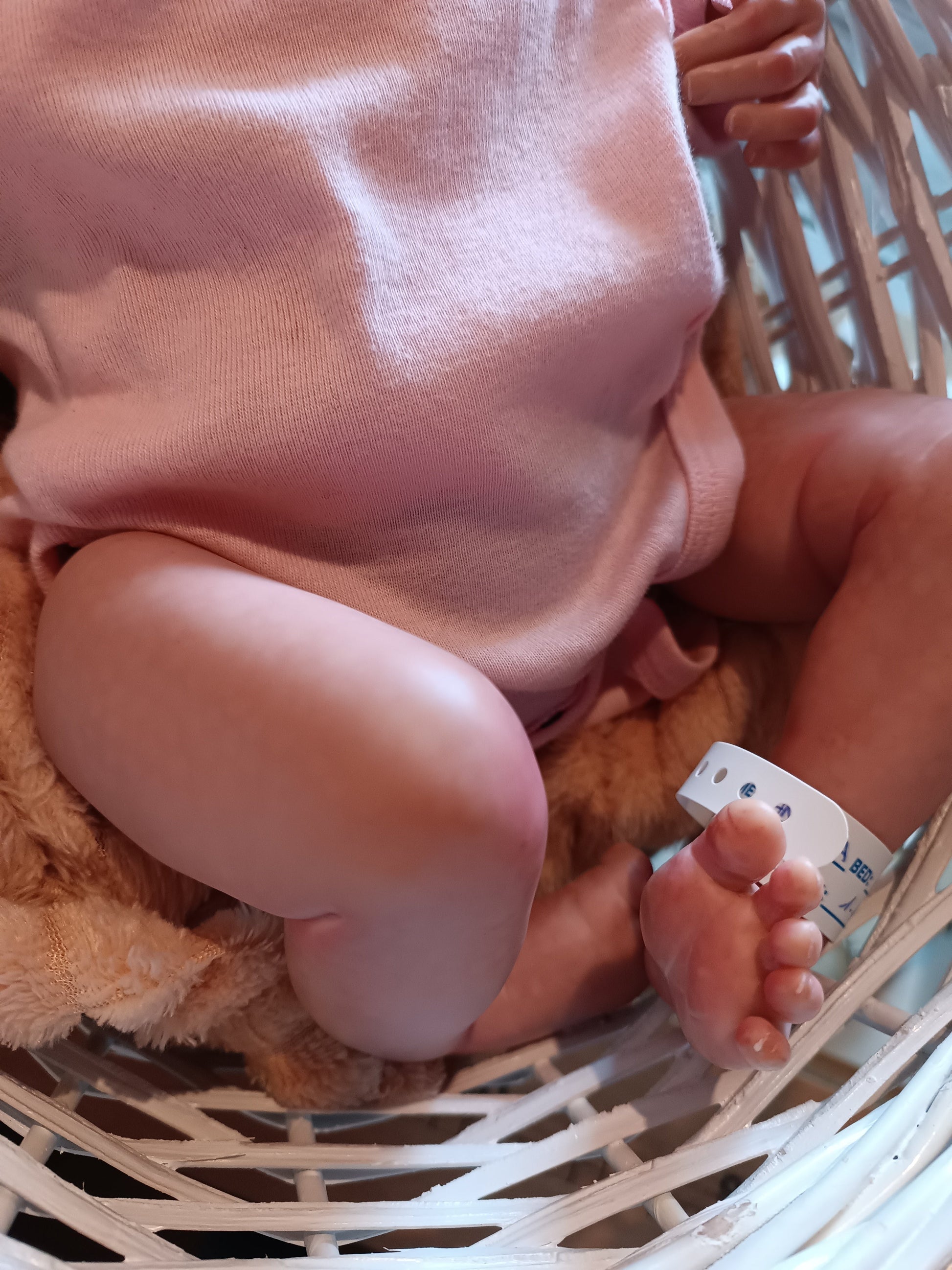 Reborn Manuela